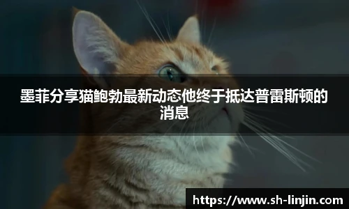 米兰体育墨菲分享猫鲍勃最新动态他终于抵达普雷斯顿的消息